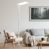 Full Spectrum Floor Lamp Pure
