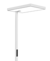 Full Spectrum Floor Lamp S2